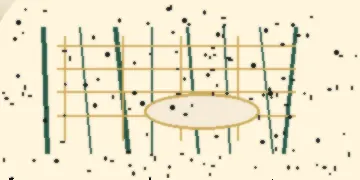 黑料网合作伙伴东方生活观察社Logo